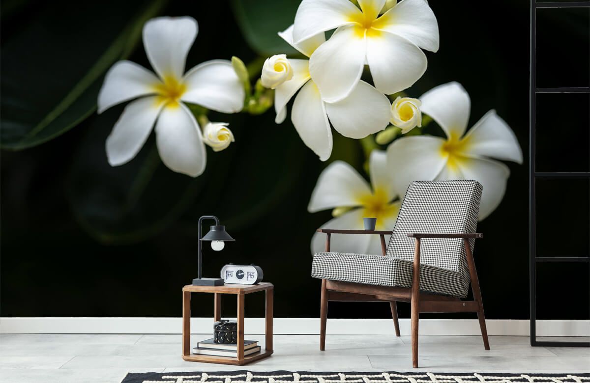 gelbe Plumeria Tapete