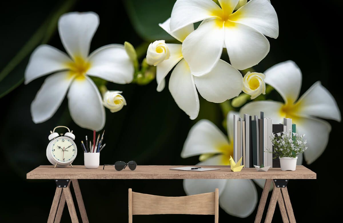 gelbe Plumeria Tapete